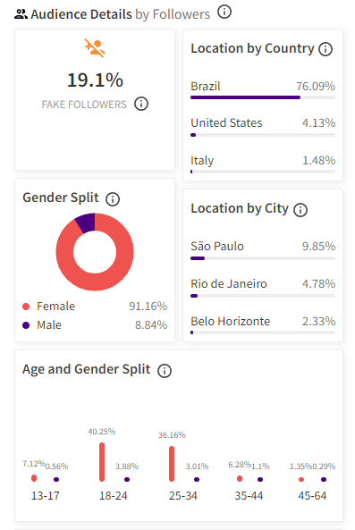 What are the demographics of influencer audiences?